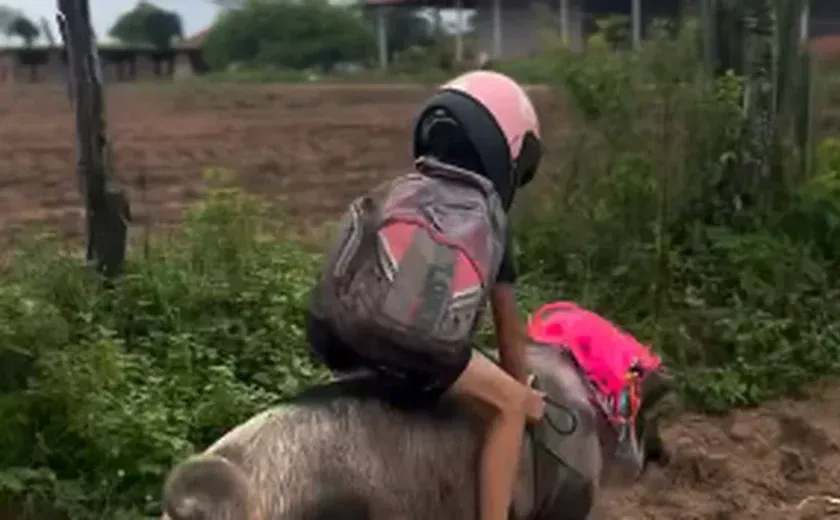 Influenciador mirim viraliza ao "voltar da escola" montado em porco com mochila e capacete