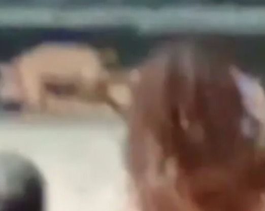 Casal é flagrado fazendo sexo na praia da Ponta Verde; caso choca frequentadores