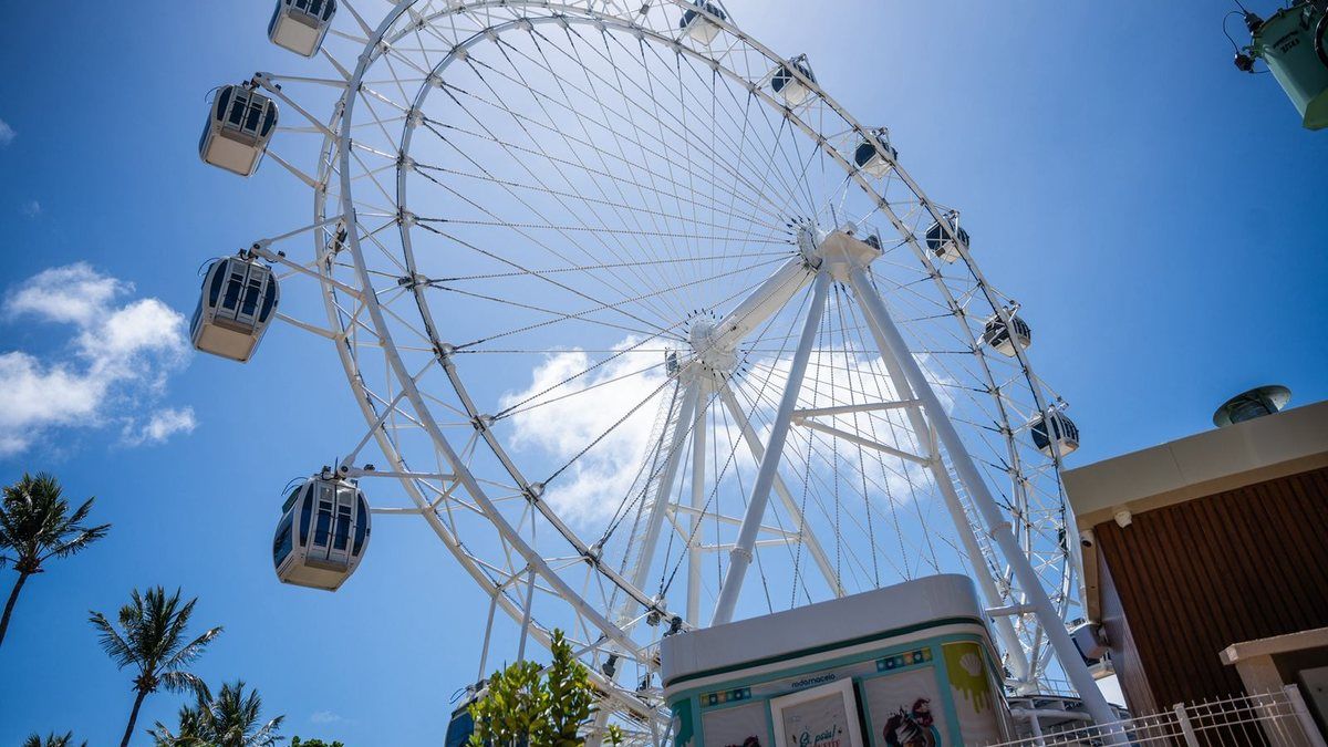 Roda Maceió adota horário especial em fevereiro e entra no clima do Carnaval