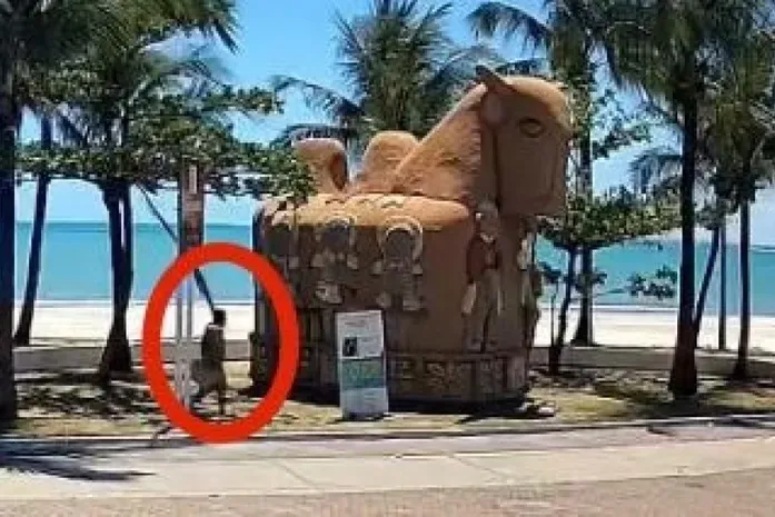 Imagens de monitoramento flagram suspeito de incendiar escultura Boi Bumbá em Maceió