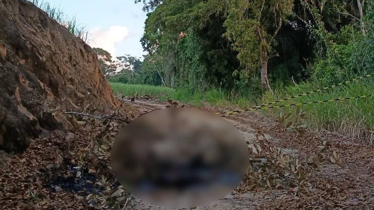 Corpo é encontrado carbonizado em área de usina em Rio Largo
