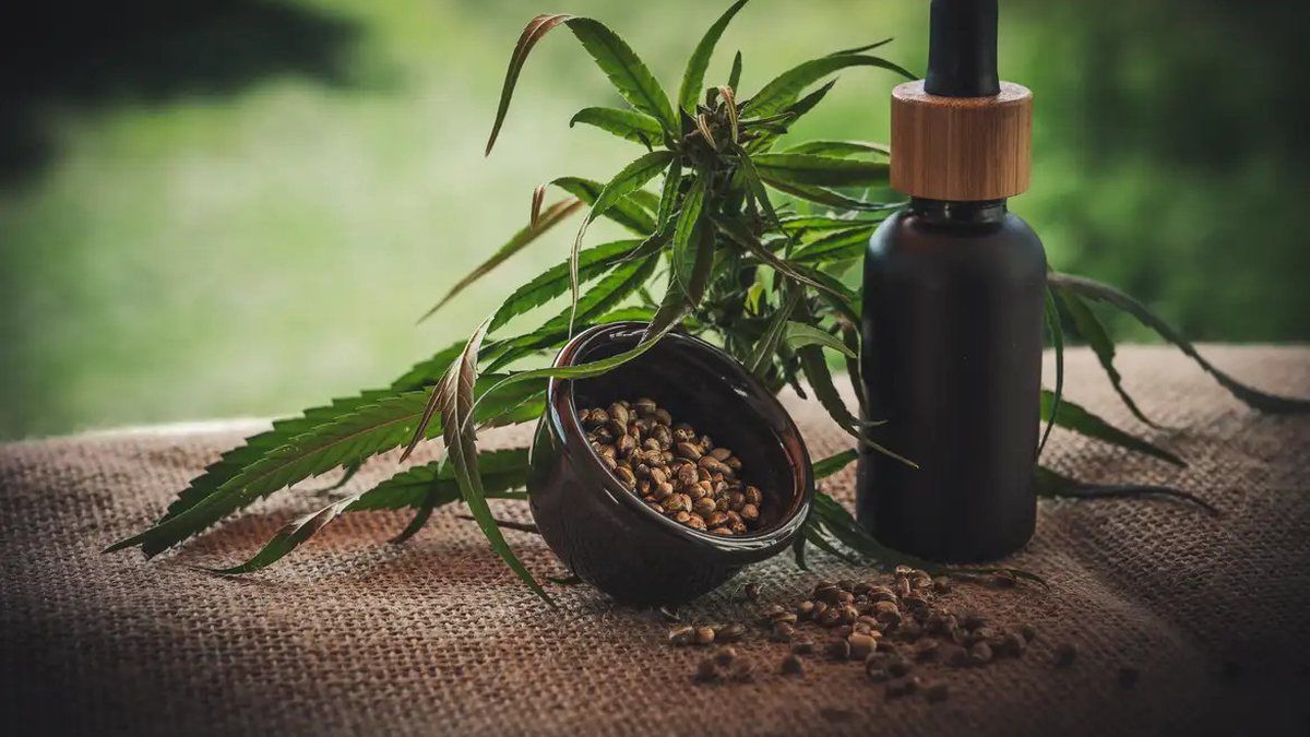 Anvisa amplia acesso à cannabis medicinal no Brasil: entenda o que mudou