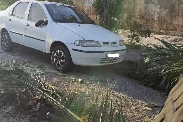 Árvore de grande porte cai sobre veículo no Prado e interdita via em Maceió