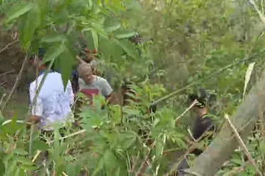 Moradores entram em área de mata para procurar mais corpos