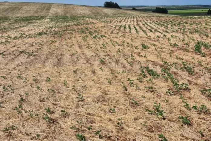 Governo Federal reconhece situação de emergência em três municípios de Alagoas