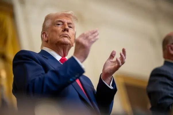 Tarifas de Trump: estudo e dados revelam que custo recai sobre empresas e consumidores dos EUA