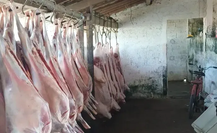 Abate ilegal e sem higiene leva à interdição de açougue clandestino na Zona da Mata