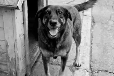 Polícia Civil indicia pais de adolescentes por coagir testemunha