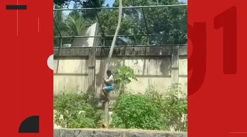 O que se sabe sobre o caso do jovem que invadiu jaula e foi morto por leoa no zoológico de João Pessoa