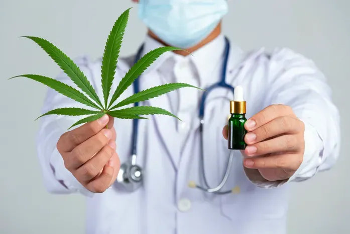 Anvisa redefine regras da cannabis medicinal e amplia acesso a tratamentos no Brasil