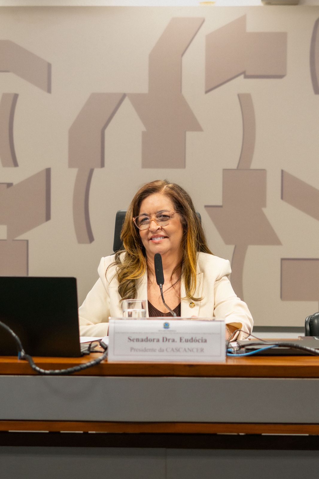 Senadora Dra. Eudócia preside audiência sobre financiamento de pesquisas e terapias inovadoras contra o câncer