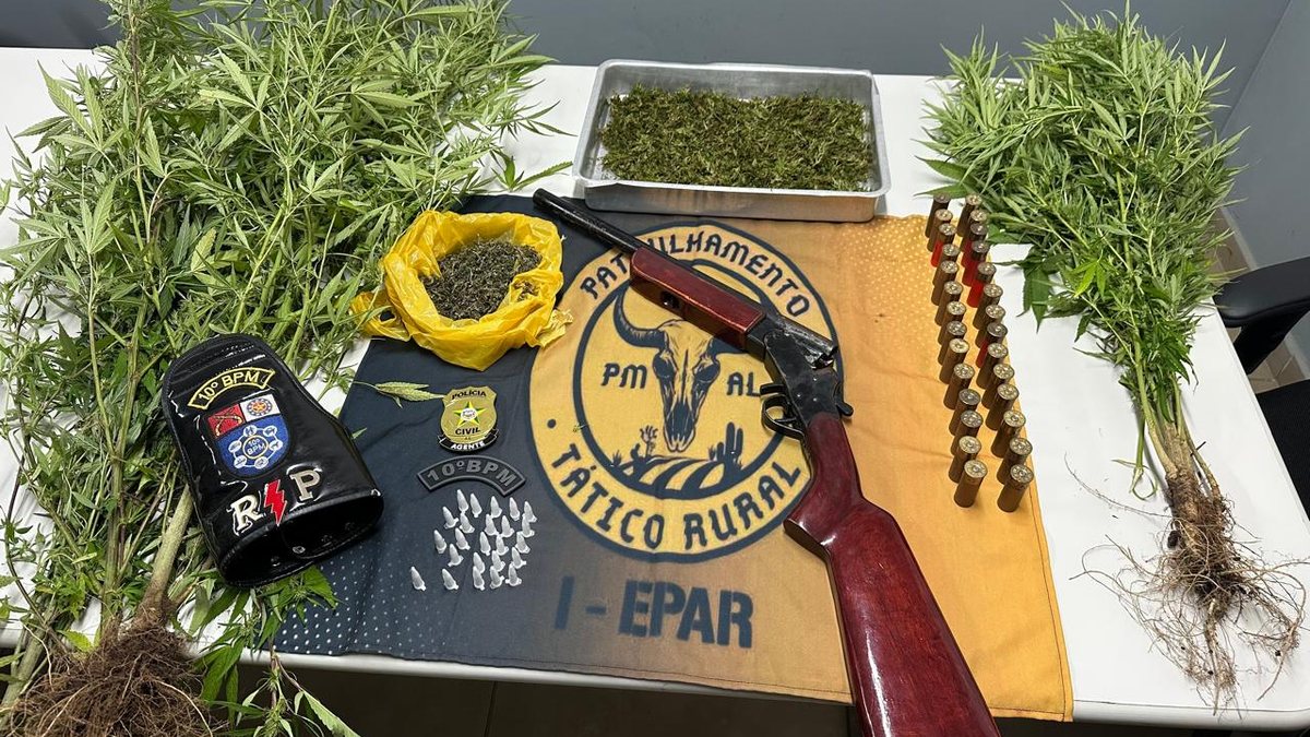 Homem é preso em Palmeira dos Índios com plantação de maconha em casa