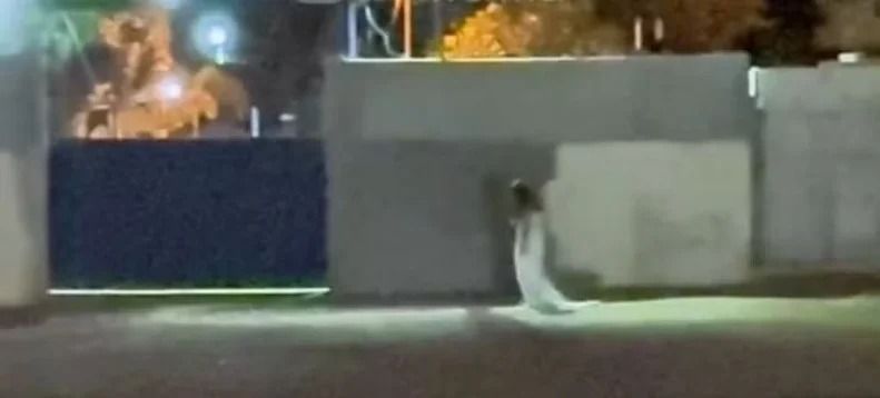 VÍDEO: Noiva em cemitério de Goiás viraliza e reacende lenda urbana em município