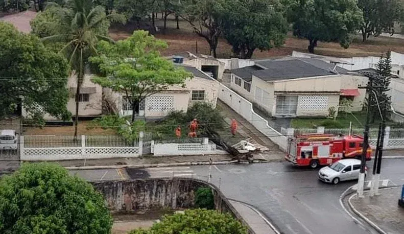 Temporal provoca queda de árvore e derruba muro de residência em Maceió