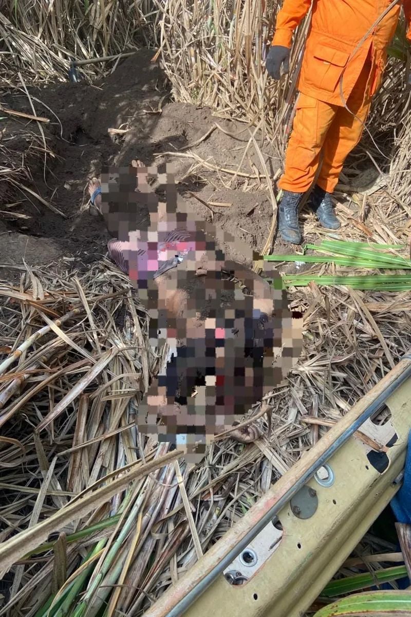 Corpo encontrado em canavial de Penedo é identificado como de homem com histórico criminal