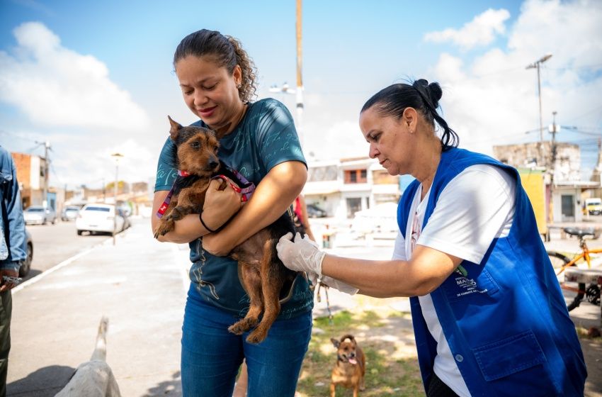 Saúde de Maceió imuniza mais de 30 mil animais no primeiro dia de vacinação antirrábica