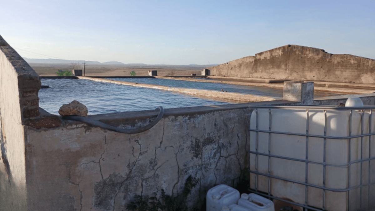 Fraude em Belo Monte desviava 146 mil litros de água: operação desmonta ligação clandestina no Sertão