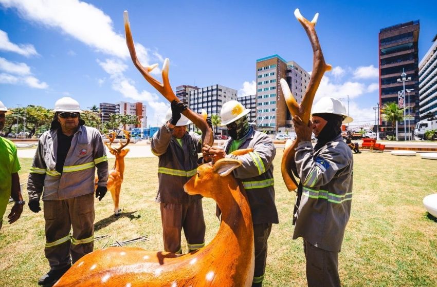 Ornamentação natalina é alvo de vandalismo no Parque Massay-ó-k